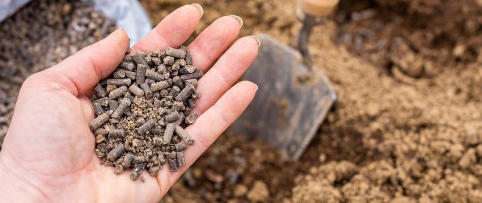 Moins il y a d'eau, plus il y a de fumier ! - Minizap Annecy