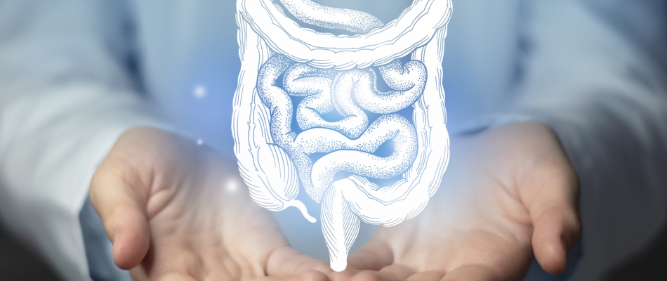 Parkinson, le microbiote en cause - Minizap Pays Voironnais