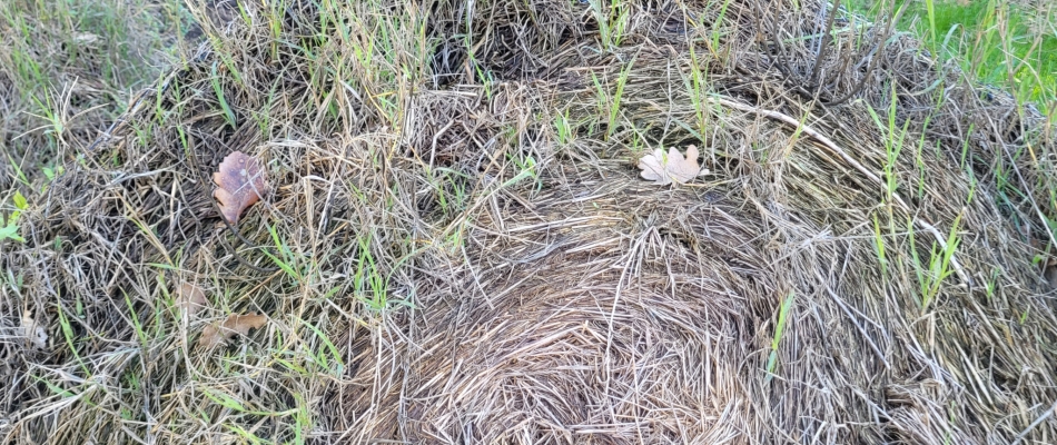Stocker du paillage directement sur le sol - Minizap Grenoble