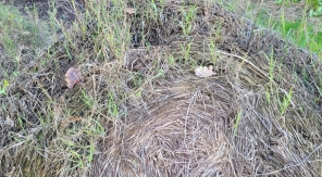 Stocker du paillage directement sur le sol