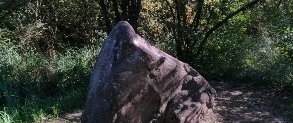 La pierre qui pousse à Aubigny-au-Bac - Minizap Grenoble
