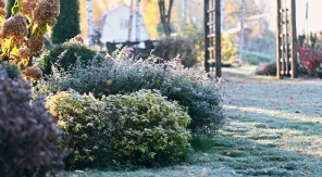 Pour quelques degrés de plus : atténuer les effets du froid au jardin