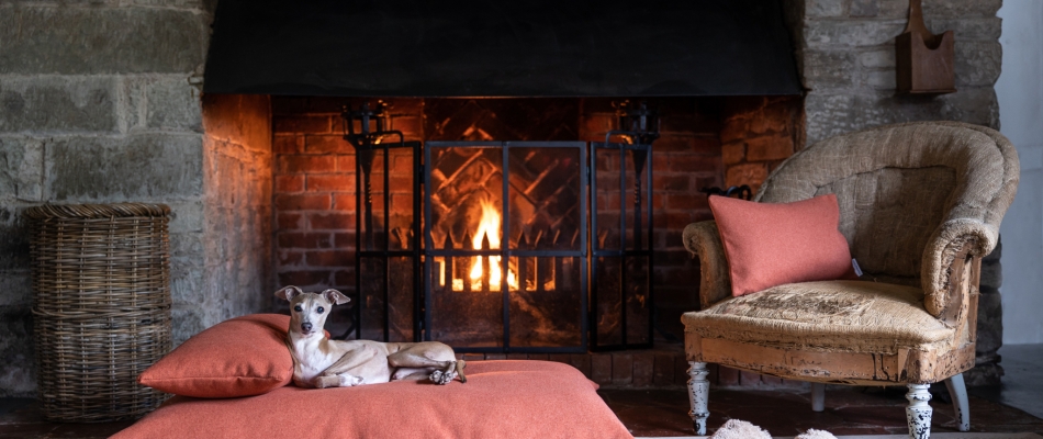 Le pet design nous tient bonne compagnie - Minizap Annecy