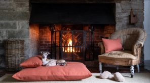 Le pet design nous tient bonne compagnie