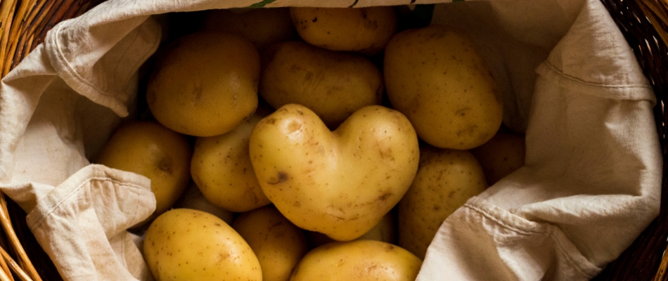 Les idées reçues et les fausses croyances sur la pomme de terre - Minizap Chambery