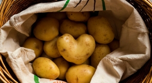 Les idées reçues et les fausses croyances sur la pomme de terre