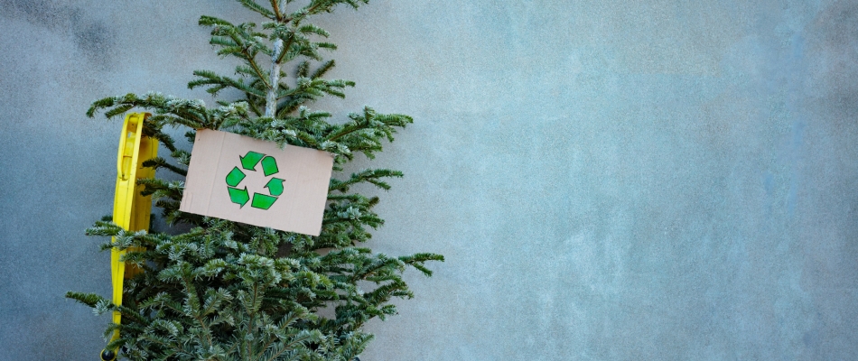 4 idées pour recycler votre sapin de Noël - Minizap Chambery