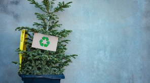 4 idées pour recycler votre sapin de Noël