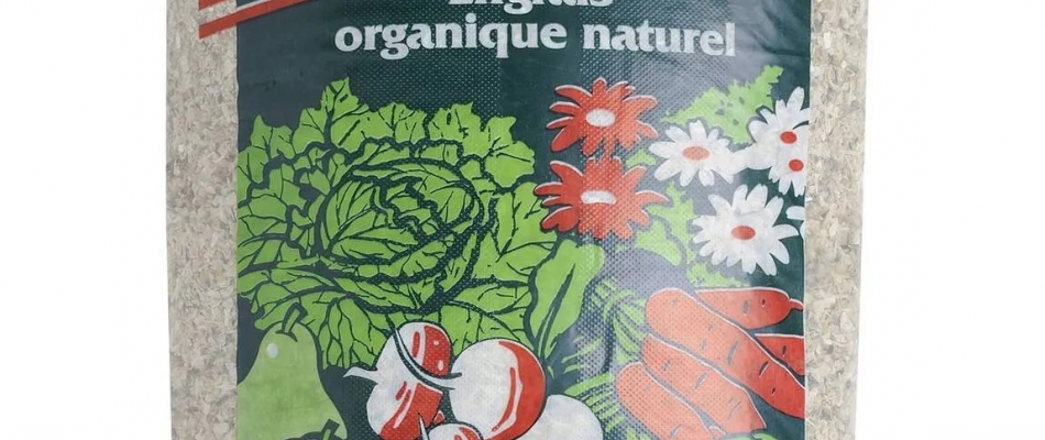 Prenez le taureau par les cornes - Minizap Nord-Isère