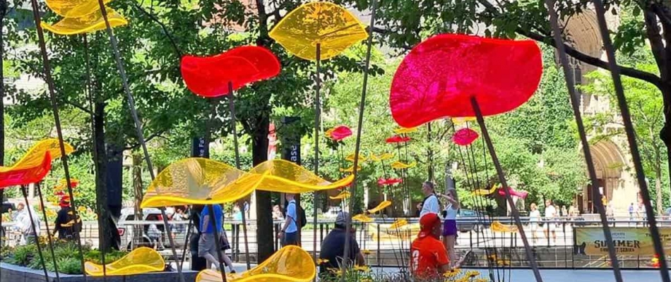 Des jolies fleurs même en hiver - Minizap Pays Voironnais