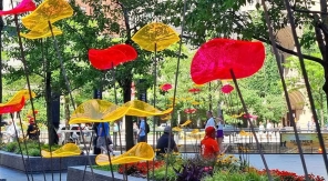 Des jolies fleurs même en hiver