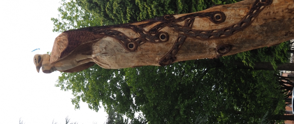 Le pin sculpté du parc Bertin de Douai - Minizap Annecy