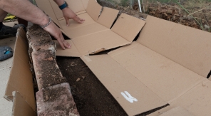 Créer une zone de culture, sans travail du sol