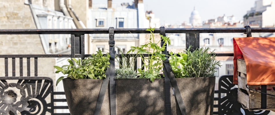 Un jardin en ville - Minizap Grenoble