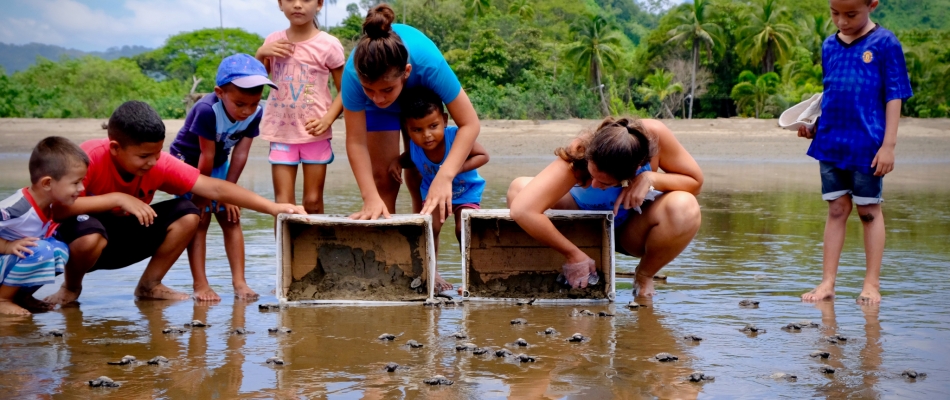 La « pura vida » au Costa Rica - Minizap Annecy