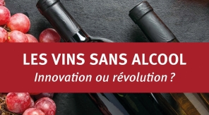 La bible des vins sans alcool