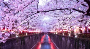 Voir la vie en rose au Japon