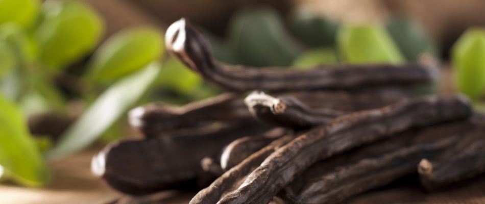 Les bienfaits de la graine de caroube - Minizap Nord-Isère