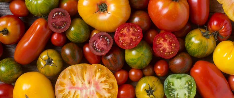 Quelles sont les variétés de tomates les plus originales ? - Minizap Nord-Isère