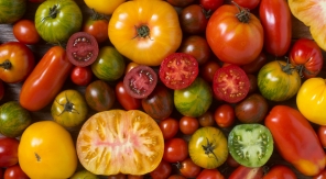 Quelles sont les variétés de tomates les plus originales ?