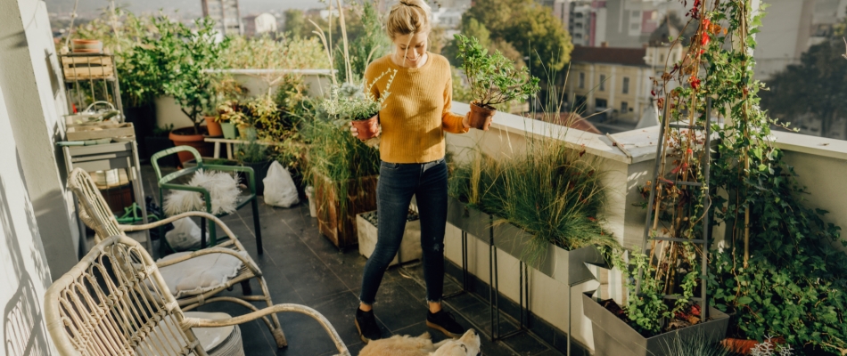 Balcon : quels sont les aménagements autorisés ? - Minizap Chambery