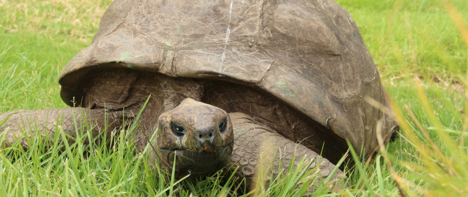 Bon anniversaire Jonathan ! - Minizap Pays Voironnais