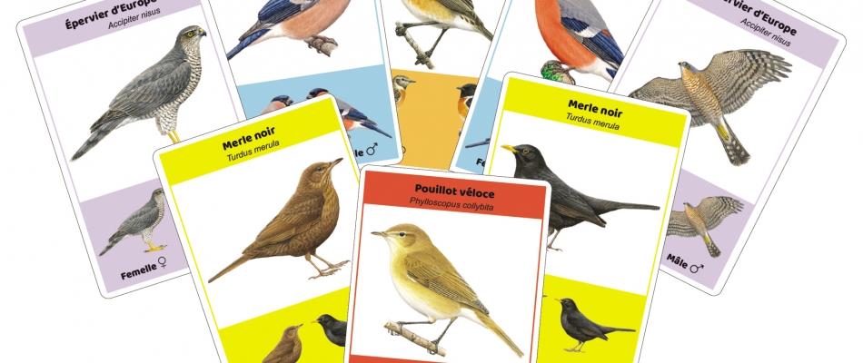 Les deux font la paire - Minizap Pays Voironnais