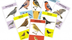 Les deux font la paire