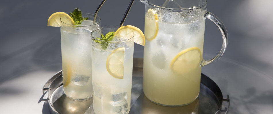 Une citronnade maison - Minizap Chambery