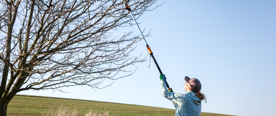 Gardez les pieds sur terre ! - Minizap Grenoble