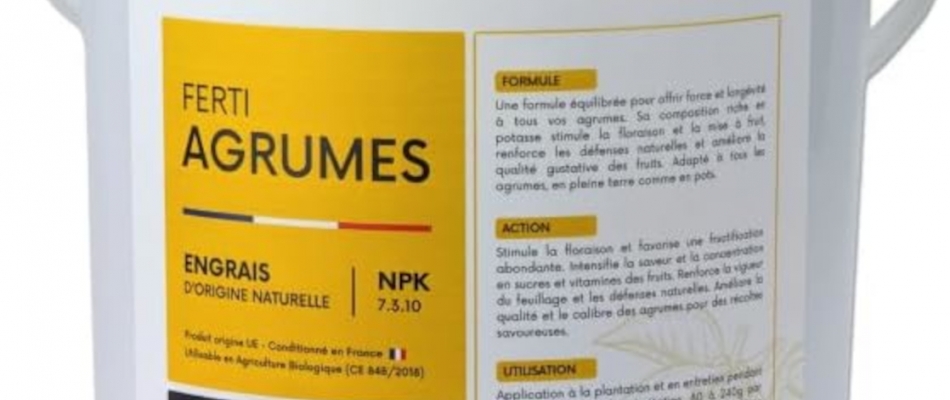 Au festin des agrumes - Minizap Grenoble