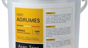 Au festin des agrumes