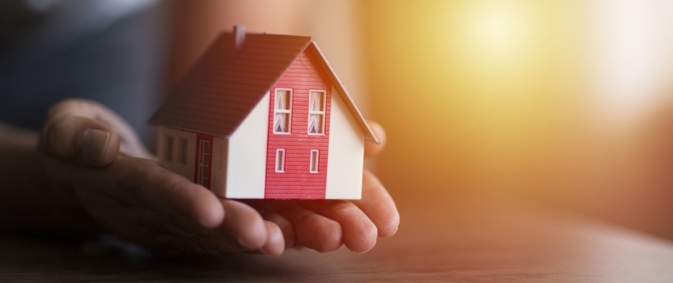 Le bail solidaire facilite votre acquisition de propriété - Minizap Vallée de l'Arve