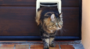 Installer une chatière en un clin d'œil