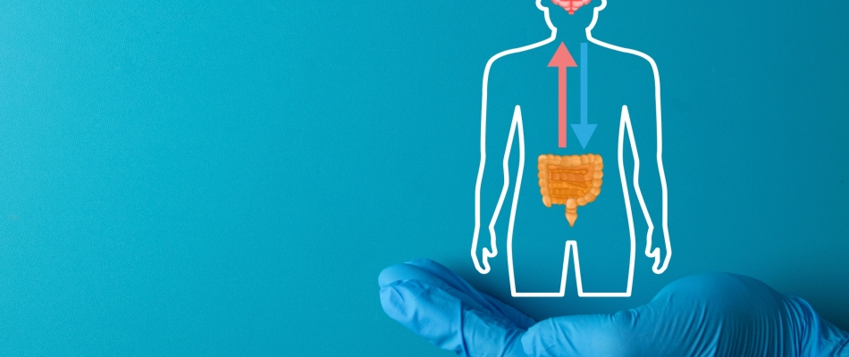 TDAH, autisme, anorexie : le microbiote en cause ? - Minizap Pays Voironnais