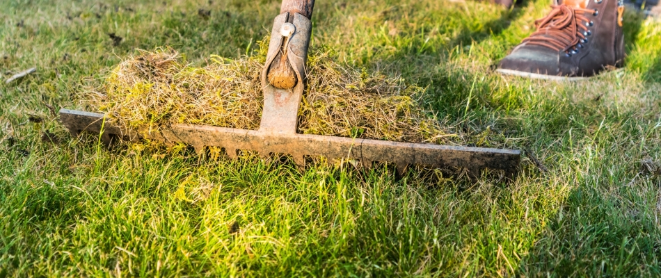 Regarnir une pelouse - Minizap Pays Voironnais