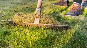 Regarnir une pelouse