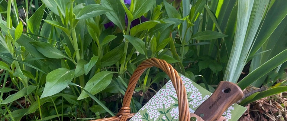 Encore et toujours, la main au panier - Minizap Chambery