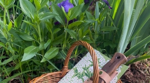 Encore et toujours, la main au panier