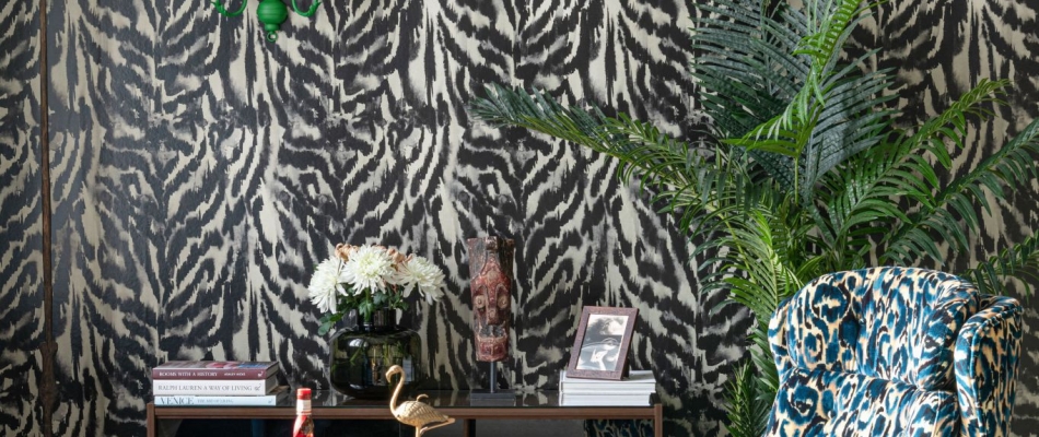 La loi de la jungle - Minizap Vallée de l'Arve