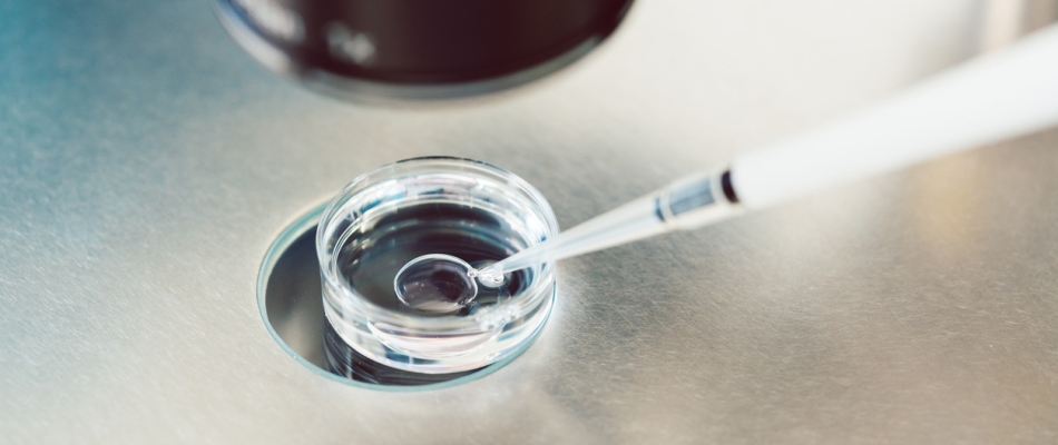 Le diagnostic préimplantatoire fait toujours débat - Minizap Nord-Isère