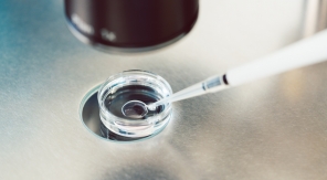 Le diagnostic préimplantatoire fait toujours débat