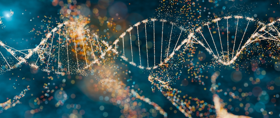 Maladies mentales, des gènes communs - Minizap Nord-Isère