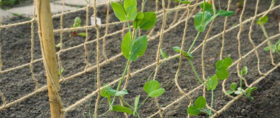 Un support solide et durable - Minizap Grenoble