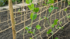 Un support solide et durable