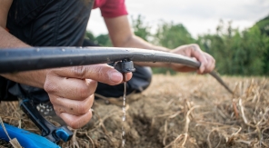 Lancer l'arrosage automatique sans vérifier les goutteurs