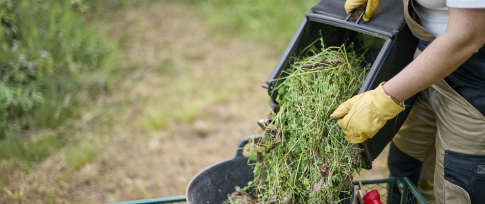 Grâce à vos déchets de tonte, mettez le feu au tas de compost ! - Minizap Annecy