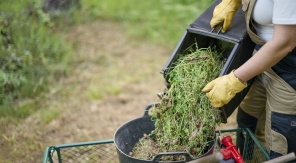 Grâce à vos déchets de tonte, mettez le feu au tas de compost !