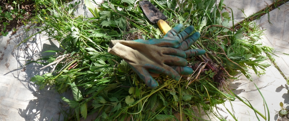 Préparer un purin de mauvaises herbes - Minizap Chambery