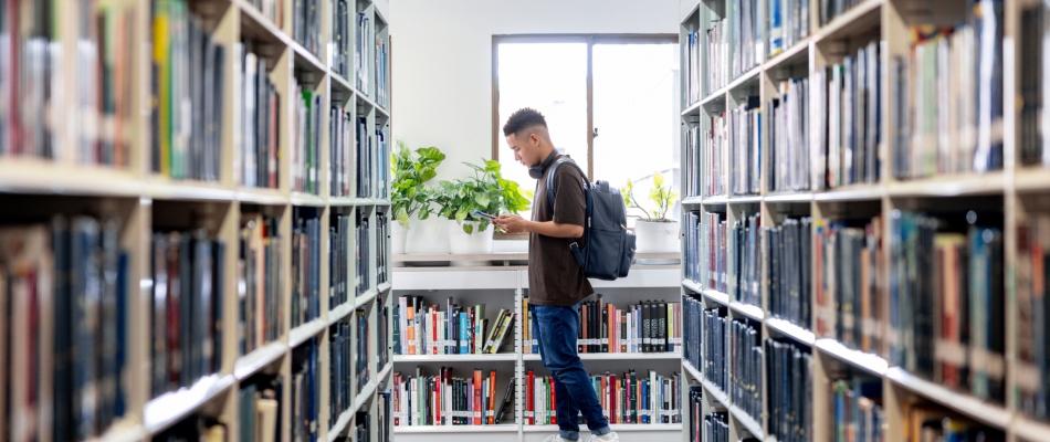 Vers quelles études supérieures se tourner après le bac ? - Minizap Pays Voironnais